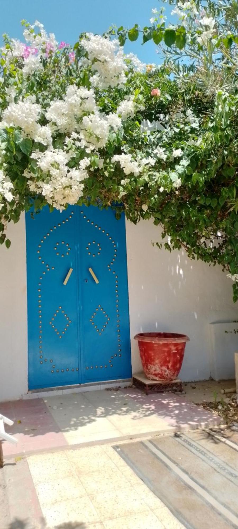 ミドゥン Djerbahouchヴィラ エクステリア 写真